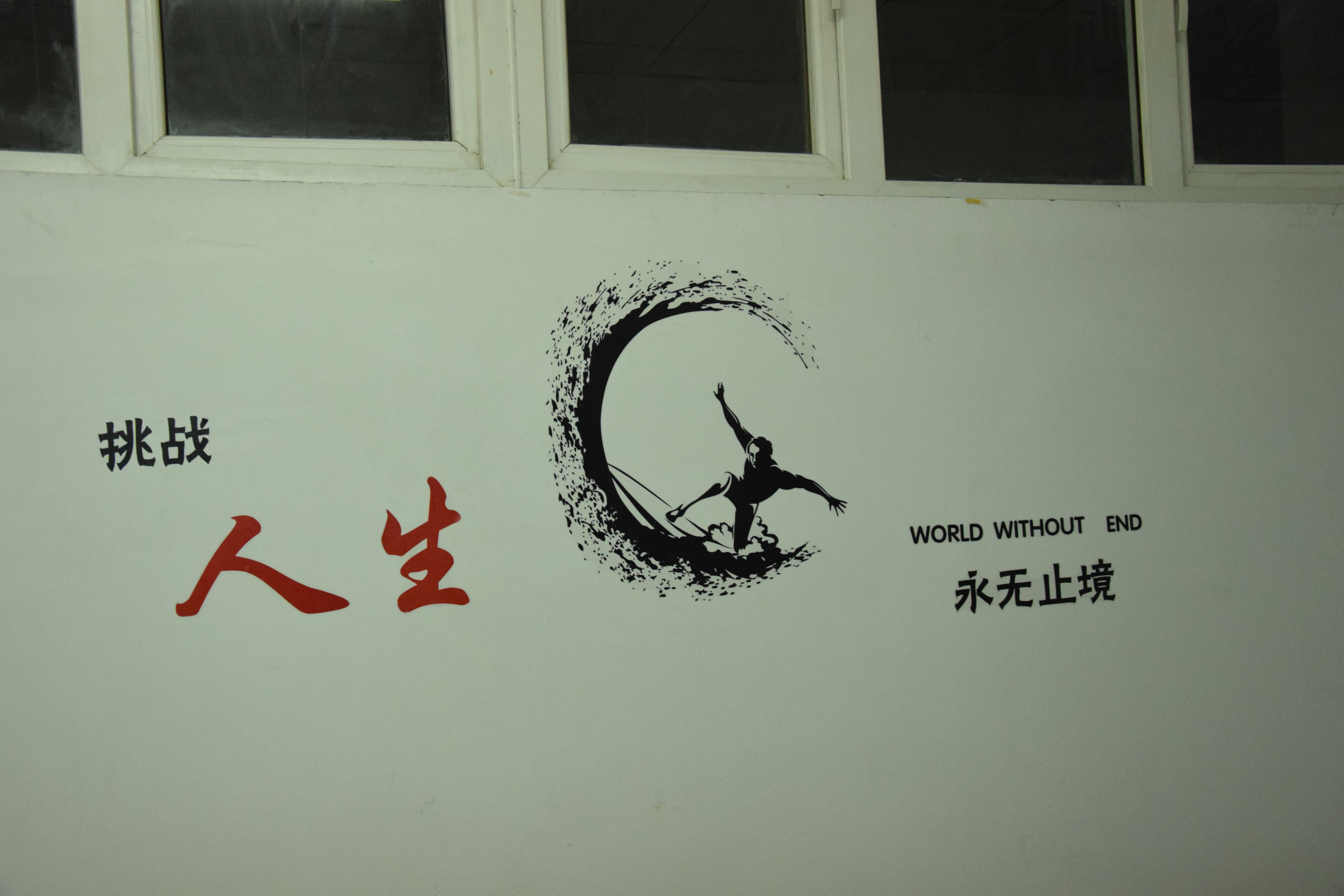 DSC_0528 DSC_0528